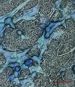 Nanofaservlies©Sabantina HTW